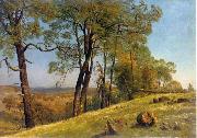 Albert Bierstadt Landscape, Rockland County, California France oil painting artist